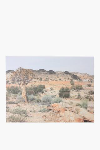 Tony Templer Landscape Canvas