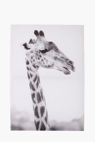 Profile Giraffe Canvas Wall Art, 40x60cm