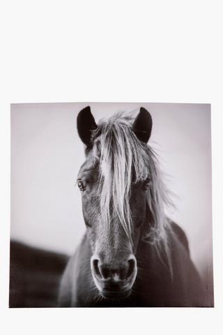 Horse Printed Canvas Wall Art, 60cm
