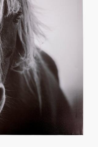 Horse Printed Canvas Wall Art, 60cm