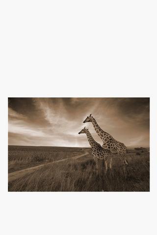 Giraffe Landscape Canvas, 60x90cm