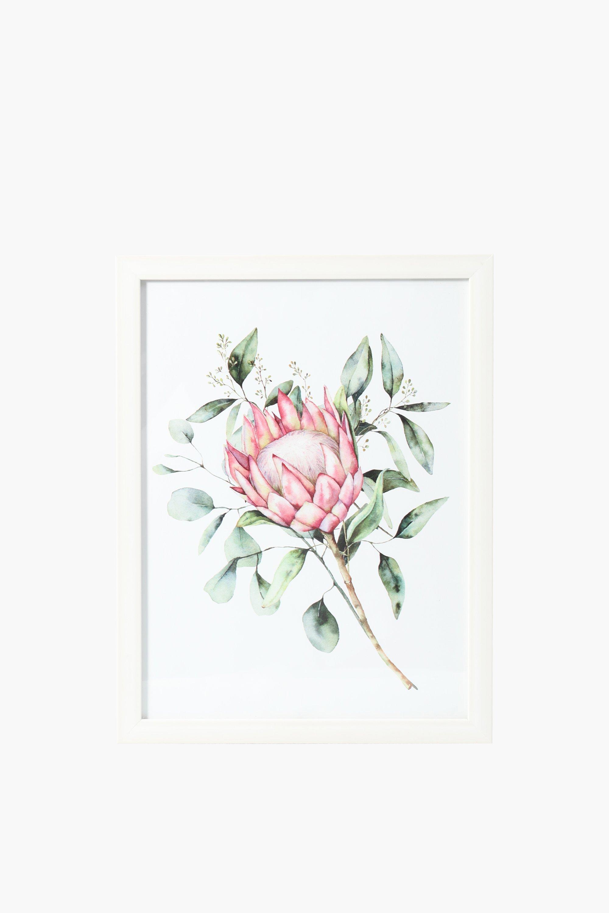 Protea Framed Wall Art 30x40cm