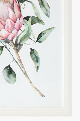 Protea Framed Wall Art 30x40cm