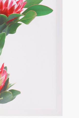 Protea Bunch Canvas 40cm