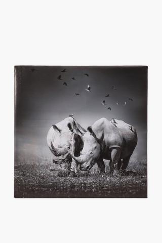 White Rhino Canvas Wall Art, 40x40cm
