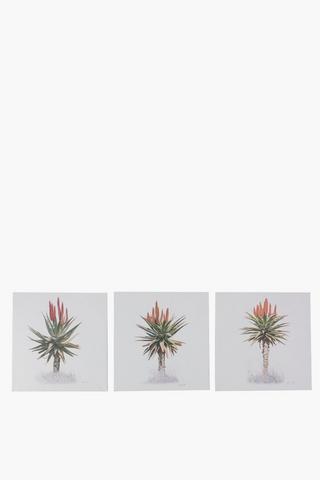 3 Piece Aloe Printed Wall Art