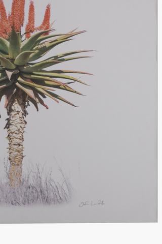 3 Piece Aloe Printed Wall Art