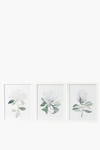 3 Piece Protea Texture Framed Canvas