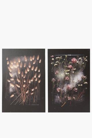 2 Piece Bruce Boyd Frozen Florals Wall Art