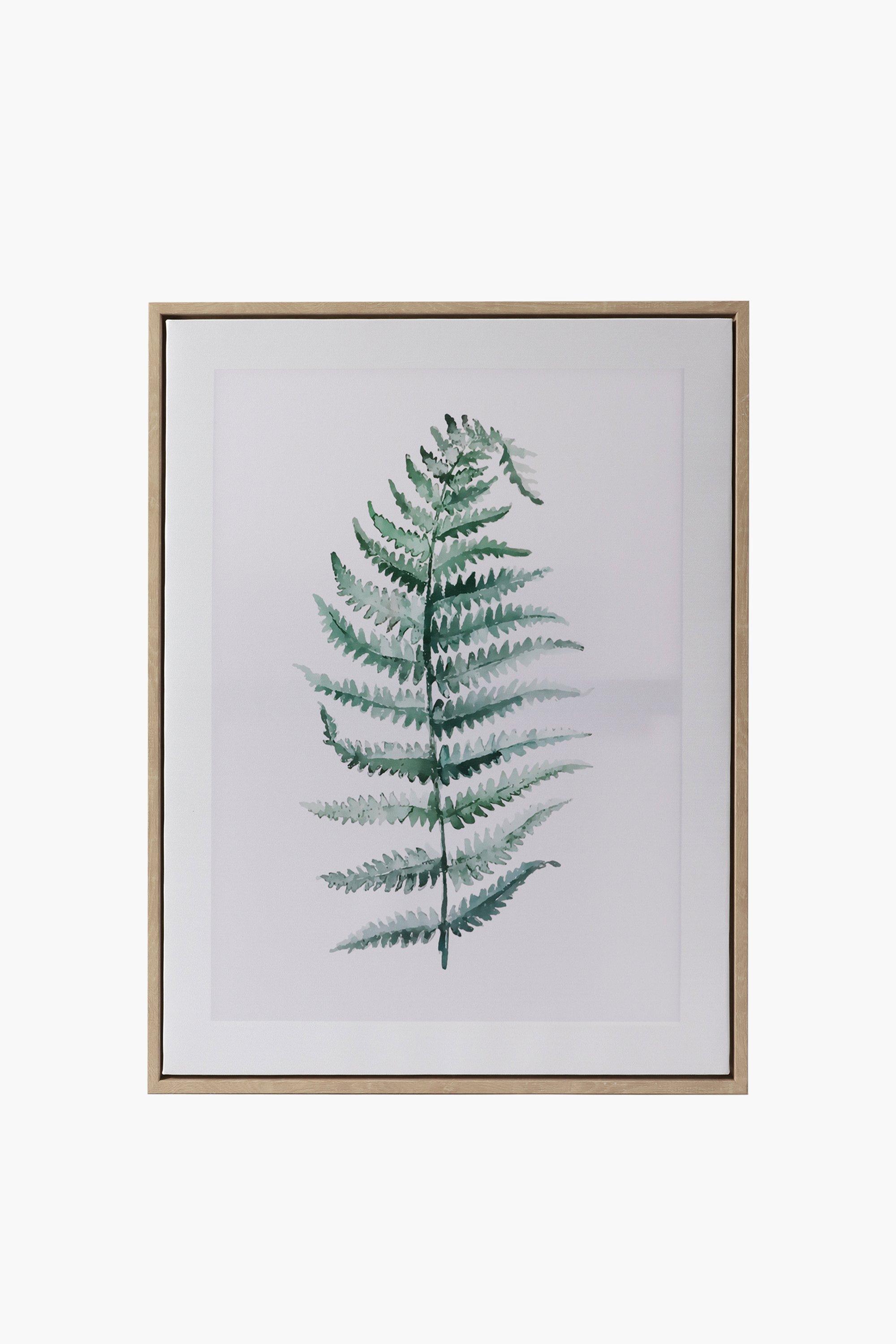 Framed Fern Wall Art