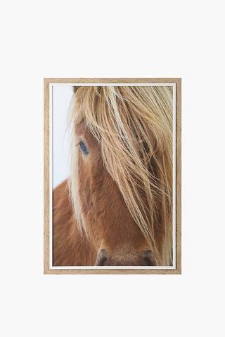 Framed Horse Laminate 60x90cm