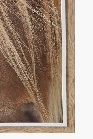 Framed Horse Laminate 60x90cm