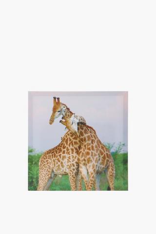 Giraffe Cuddle Canvas, 40x40cm
