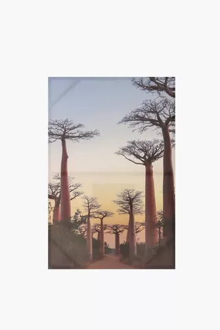 Baobab Printed Canvas 60x90cm