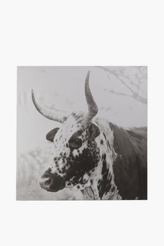 Printed Nguni Wall Art, 100x100cm