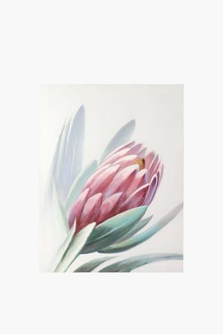 Soft Protea Canvas 90x120cm