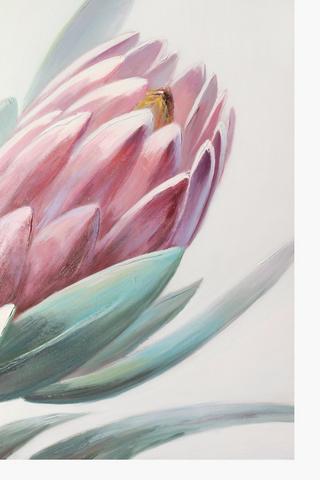 Soft Protea Canvas 90x120cm