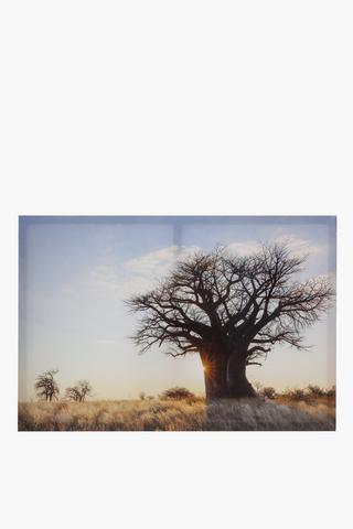 Printed Baobab Sunset Canvas, 40x60cm