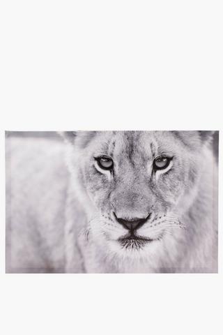 Lion Cub Canvas, 40x60