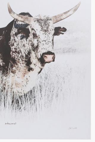 Printed Nguni Canvas, 100x100cm