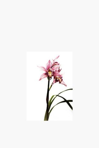 Printed Flower 60x90cm Wall Art
