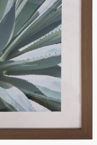 Framed Succulent Wall Art