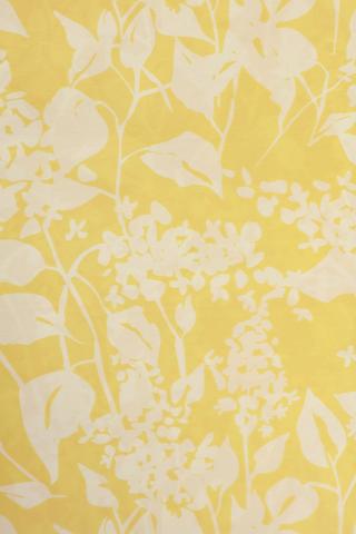 Iris Tissue Paper