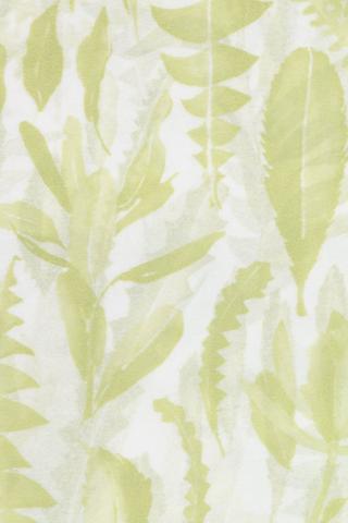 Meranti Tissue Paper