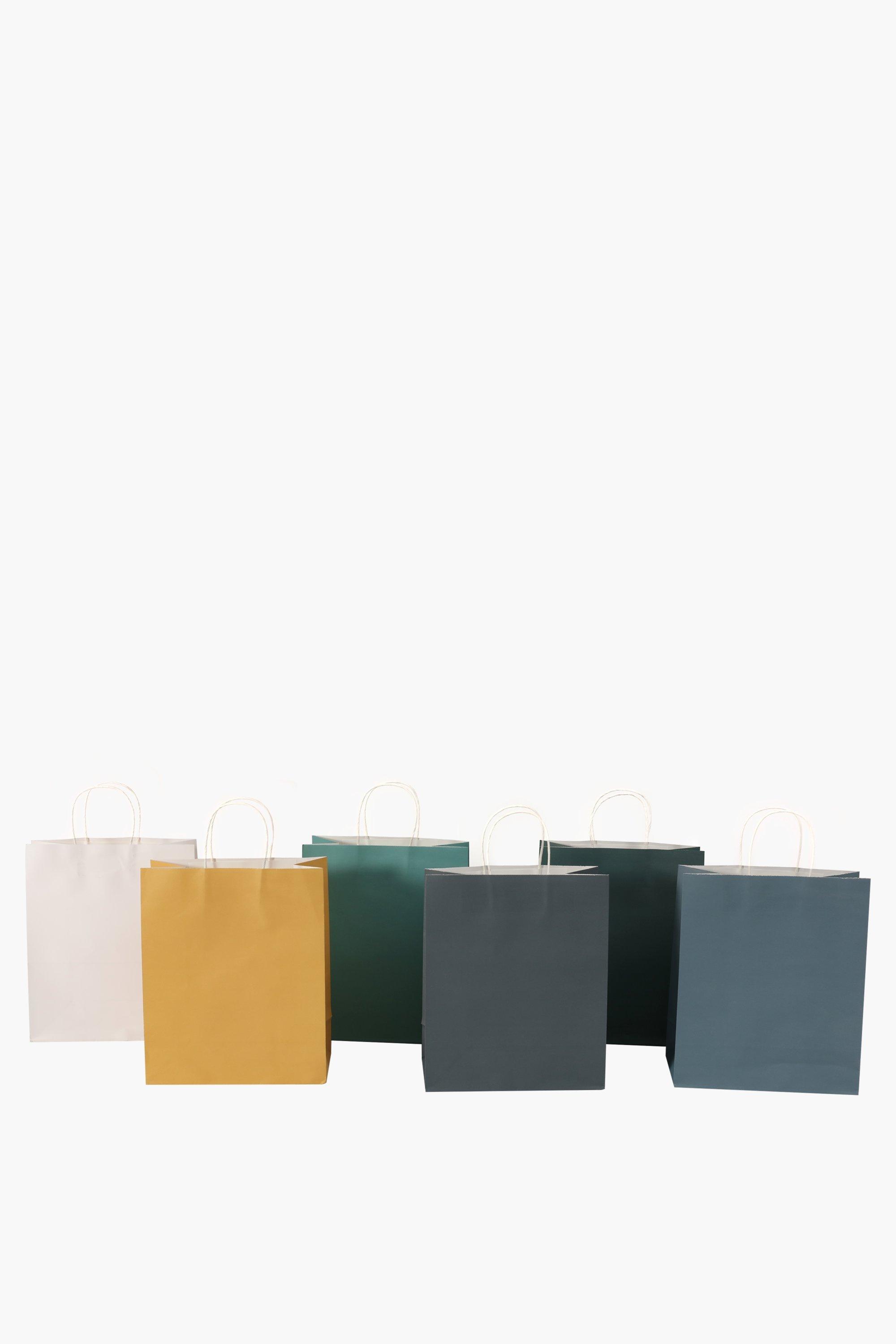 6 Pack Plain Gift Bags Medium