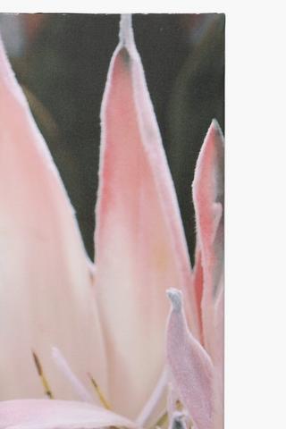 Digital Print Screen
