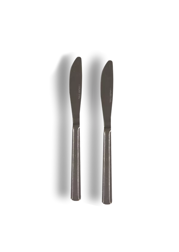 2 PACK STAINLESS STEEL KNIVES