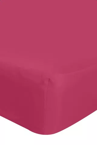 POLYCOTTON FITTED SHEET