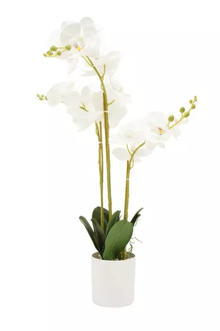 EXTRA LARGE ORCHID FAUX PLANT