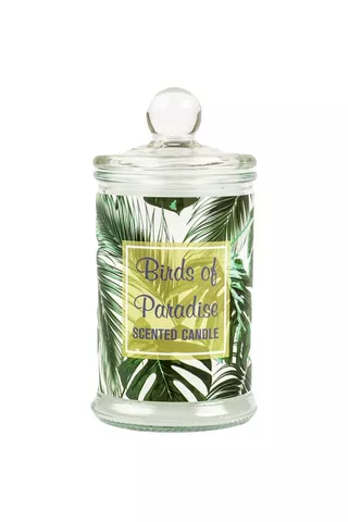 BIRDS OF PARADISE SCENTED GLASS WAXFILL