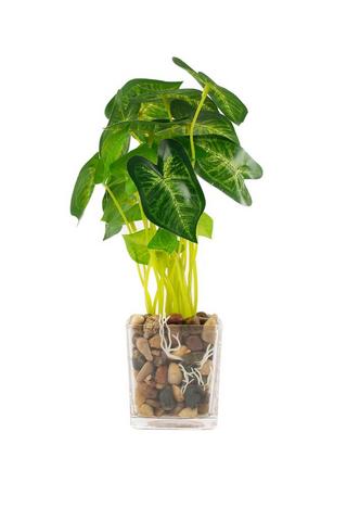 POTTED GLASS ROOTS FAUX PLANT