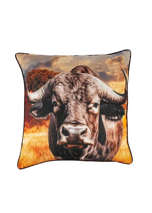 Buffaloes & Swallows サイン入りクッション Buffaloes & Swallows サイン入りクッション オリックス・バファローズ