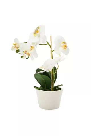 ORCHID POTTED FAUX PLANT