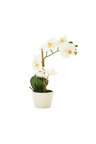 CERAMIC POTTED FAUX ORCHID