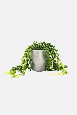 POTTED TRAILING FAUX PLANT