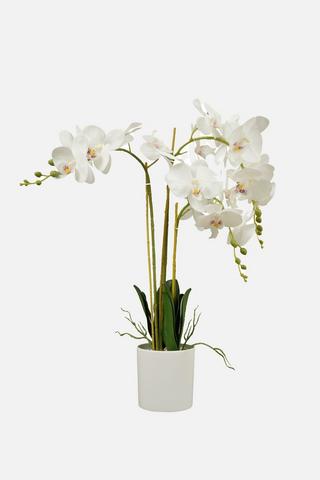 XL POTTED FAUX ORCHID