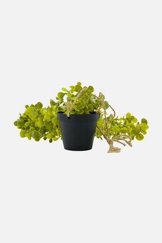POTTED HANGING EUCALYPTUS FAUX PLANT