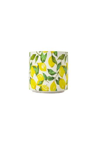 LEMON DECAL DECORATIVE PLANTER