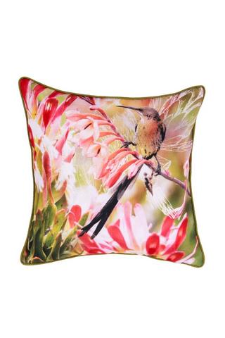 HUMMINGBIRD PRINTED SCATTER 50X50CM