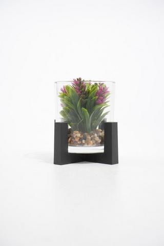 POTTED GLASS SUCCULANT ON LEGS