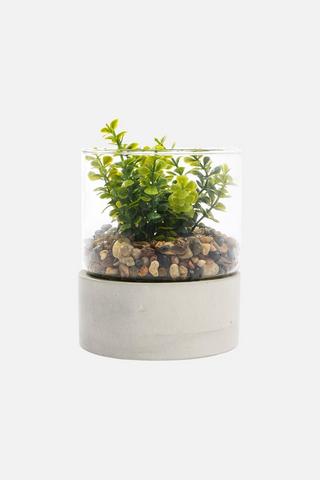 POTTED GLASS FAUX SUCCULANT