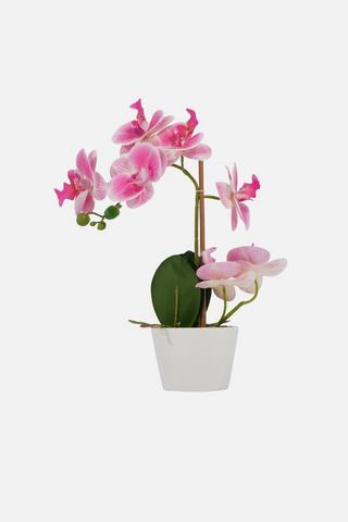 POTTED FAUX ORCHID