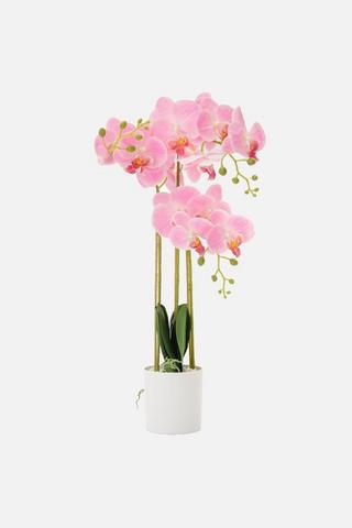 XL POTTED FAUX ORCHID