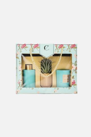 DIFFUSER, SUCCULANT AND CANDLE GIFT SET