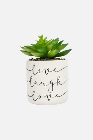 POTTED SLOGAN FAUX SUCCULANT