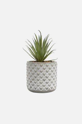 CEMENT HEART FAUX PLANT